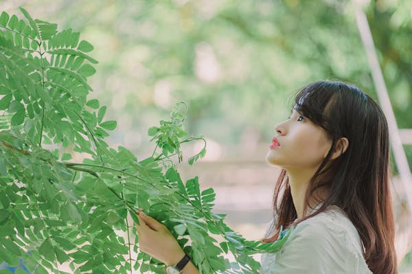 丝瓜叶：药理功效与应用指南  第1张