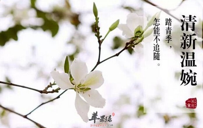 3月份吃什么水果好  第1张