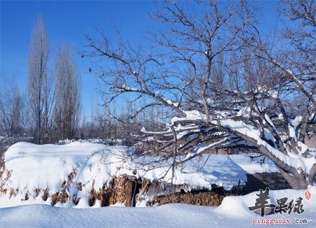 大雪节气的防病保健  第1张