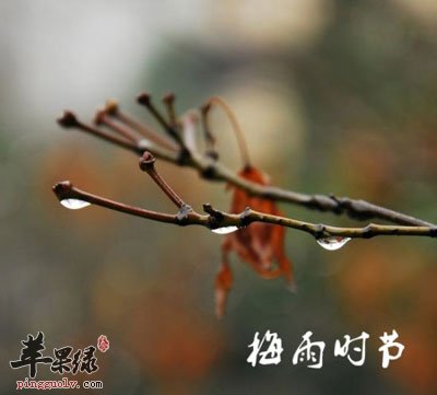 梅雨季节养生保健要注意三个方面问题