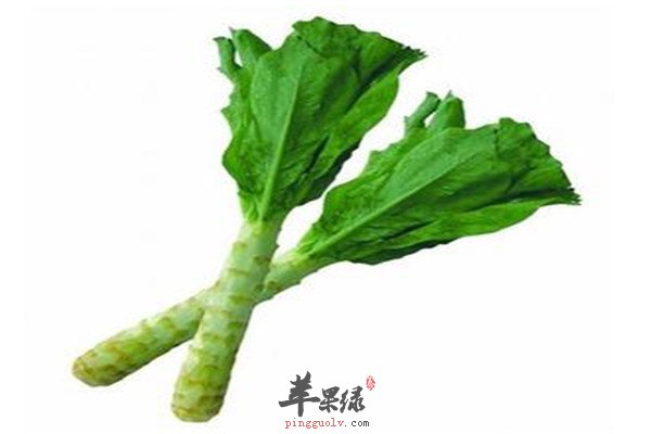 春季抗过敏滋阴润燥的两种食材  第2张