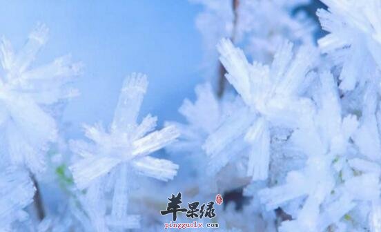 小雪要注意哪些养生事项