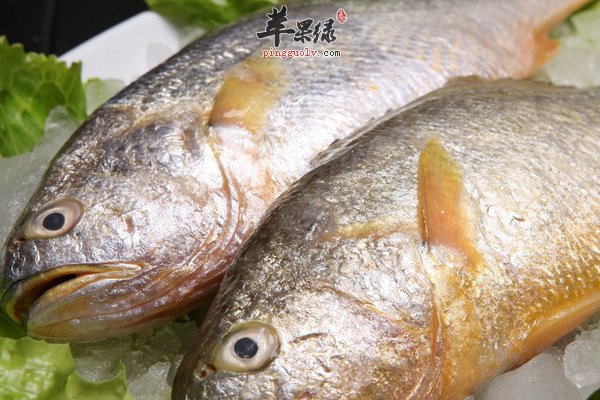 小寒吃黄鱼炖豆腐可以帮助保暖  第3张