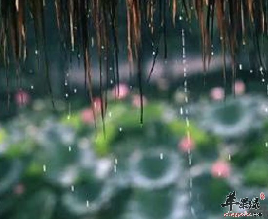 梅雨季节该怎么养生 做好这三点