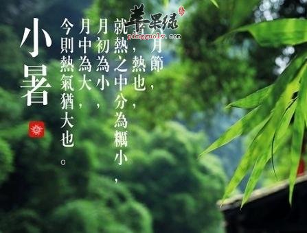 小暑节气注意预防三种水果病  第2张