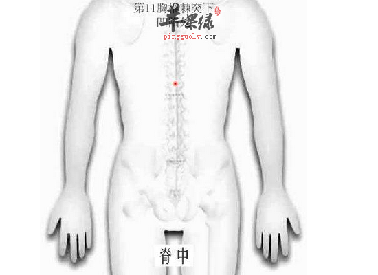 中老年人健脾利湿按摩脊中穴  第1张