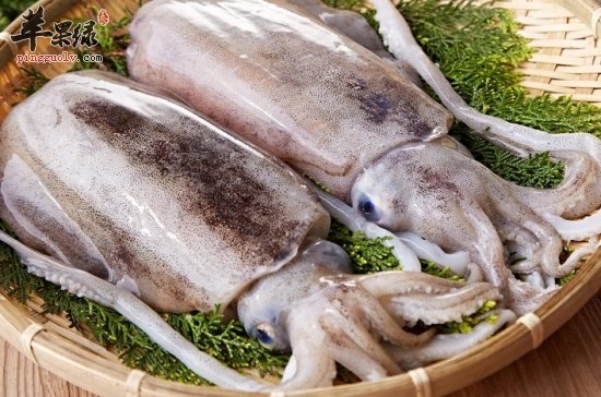 冬季也要注意饮食 推荐吃这些滋补