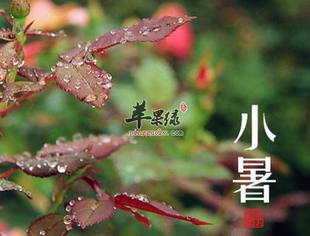 小暑盛夏季节别吃这三种危险食物  第2张