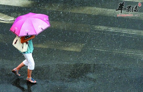 在梅雨季节该吃什么去湿气好  第1张