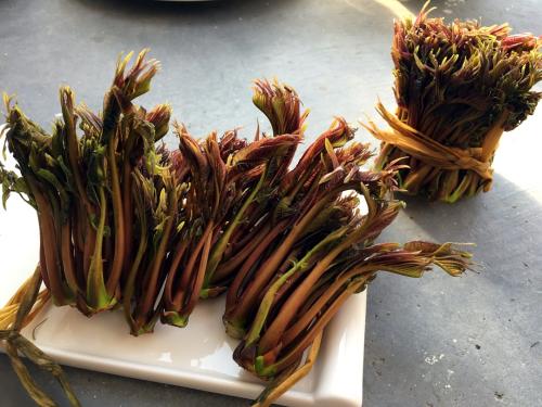 谷雨节气吃什么应季食物好  第2张