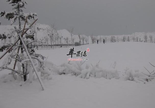 大雪节气的习俗由来 你可了解  第2张