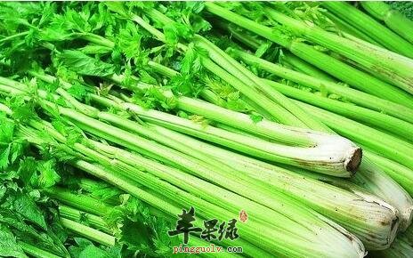 夏天吃这些蔬菜可以起到消暑作用  第2张