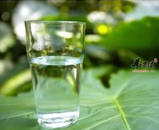 大家夏季喝水要记得这三大点  第4张