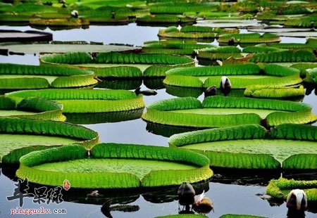 夏季做好这些让疾病远离你  第3张