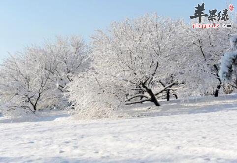 大雪的习俗 南北习俗有所不同