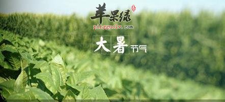 大暑节气各地有哪些风俗  第2张