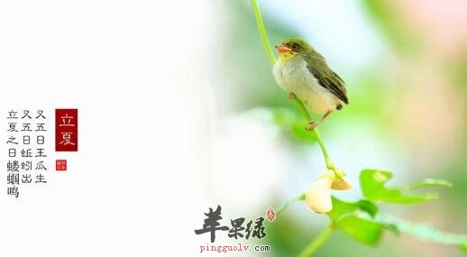 2017年立夏是什么时候  第3张