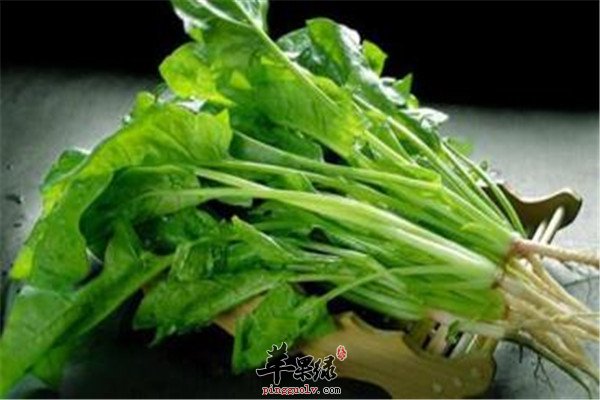 秋季吃什么最补钙 推荐芥菜和菠菜  第3张