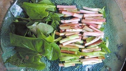 春季最适合吃的几款养生野菜  第3张