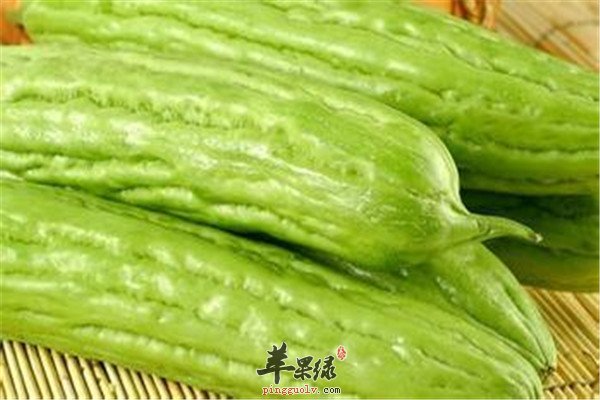 夏季吃苦胜过进补 推荐四种菜