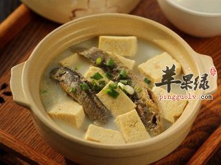 四款食谱利湿退黄清热利尿