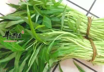 选对食物能消暑 夏季就吃这些消暑  第1张