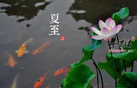 夏至时节天气燥热 怎么防暑很重要  第1张