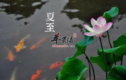 夏至可以吃的三种降暑粥介绍给你  第2张