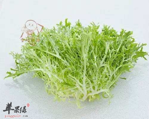 秋季吃什么食物 推荐吃这些防止上火  第3张