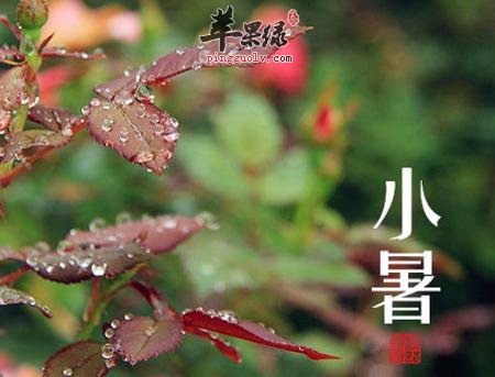 小暑节气要学会养心消暑降温  第2张