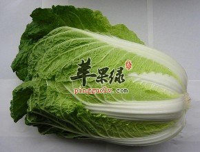 大白菜和西葫芦适合冬季食用  第2张