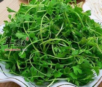 推荐几款美味野菜 春季常吃好处多  第3张