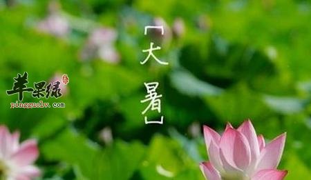 大暑季节预防疾病从这三点下手