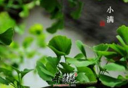 小满时节贪凉小心疾病侵扰  第1张