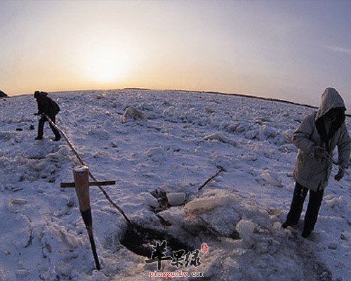 冬季屋里干燥如何增加空气湿度  第2张