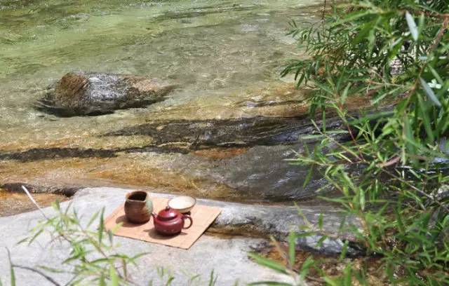 夏至想要润肺 喝茶有讲究  第4张