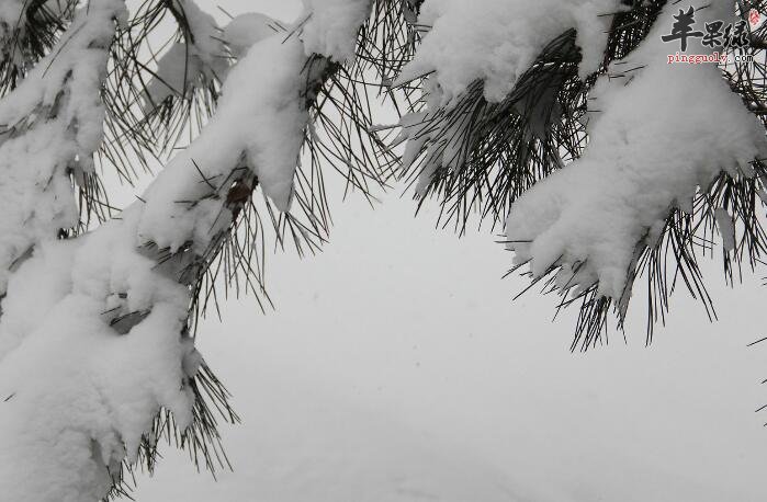 大雪节气的习俗由来 你可了解  第4张