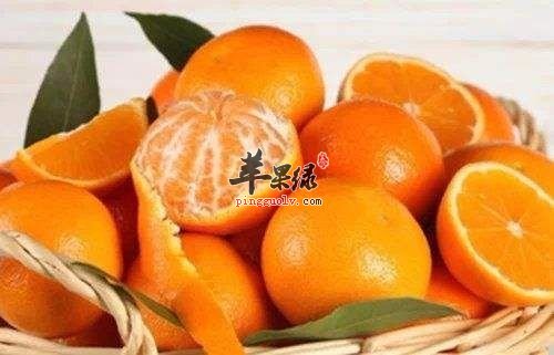 小雪吃什么能滋补 这些食物营养丰富  第1张