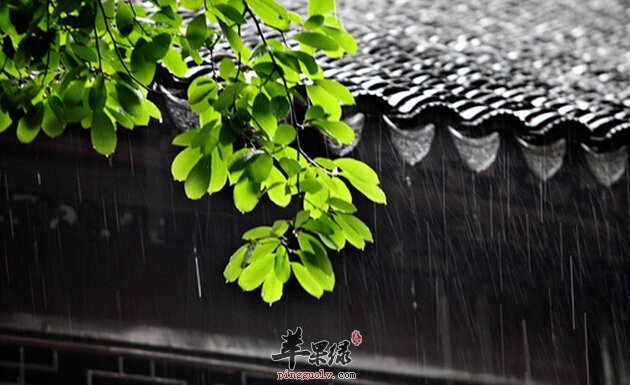 梅雨季节养生吃什么好  第2张