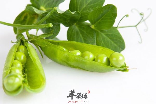 春季护眼多吃豌豆和蚕豆