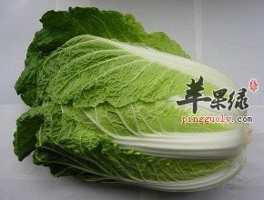 秋分节气吃白色蔬菜养阴生津  第1张