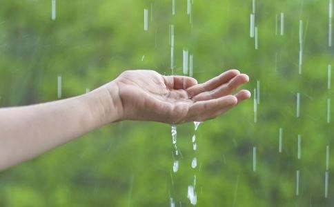 夏季雨水天气多 注意祛湿很重要  第2张