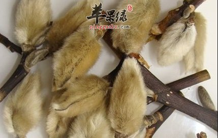 春季容易过敏怎么办 吃这些食物抗过敏  第3张