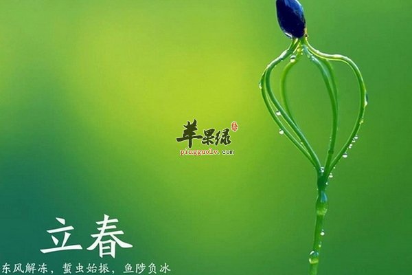 立春的习俗 句芒神 鞭春牛 燂春