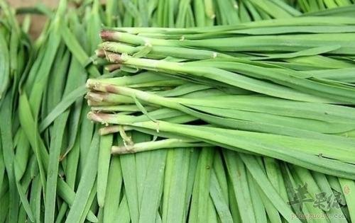 适合春分节气食用的几种蔬菜