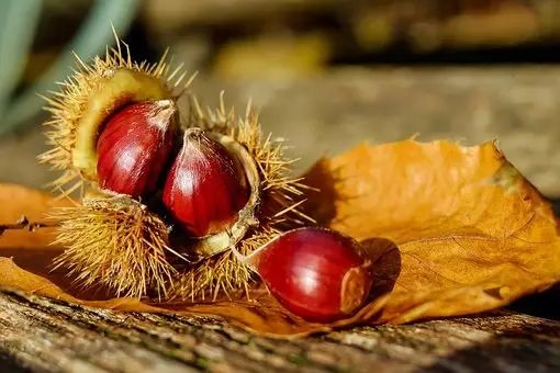 秋季饮食要重视 时令食物不能少  第4张