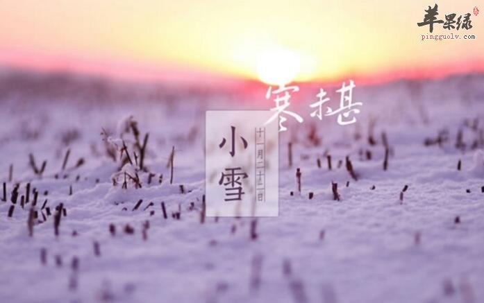 2016年小雪是哪一天  第1张