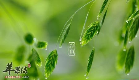 谷雨为什么要养肝补脾