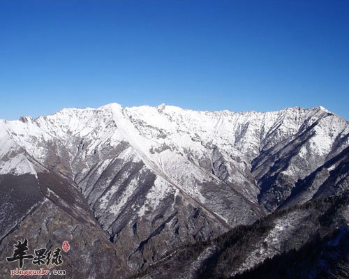 冬季屋里干燥如何增加空气湿度