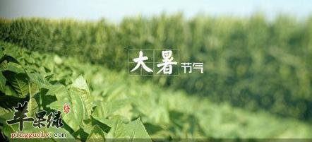 大暑早餐喝点养生粥消热解暑  第2张